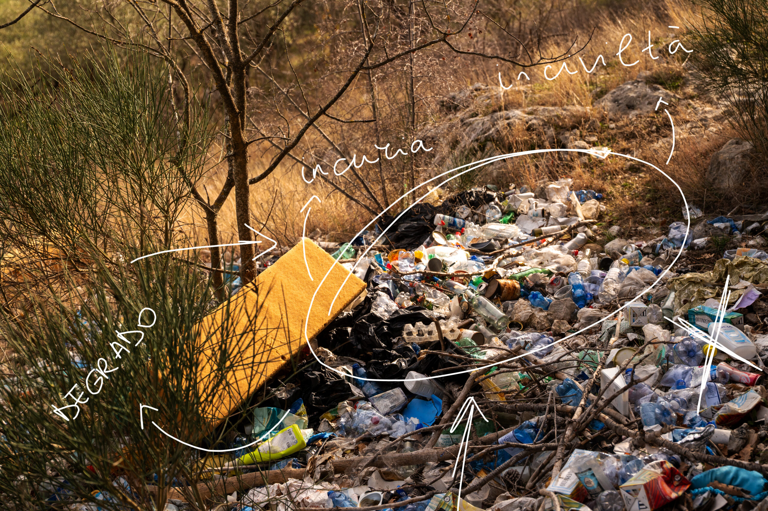 Una Giornata Ecologica… e 364 giorni di disinteresse